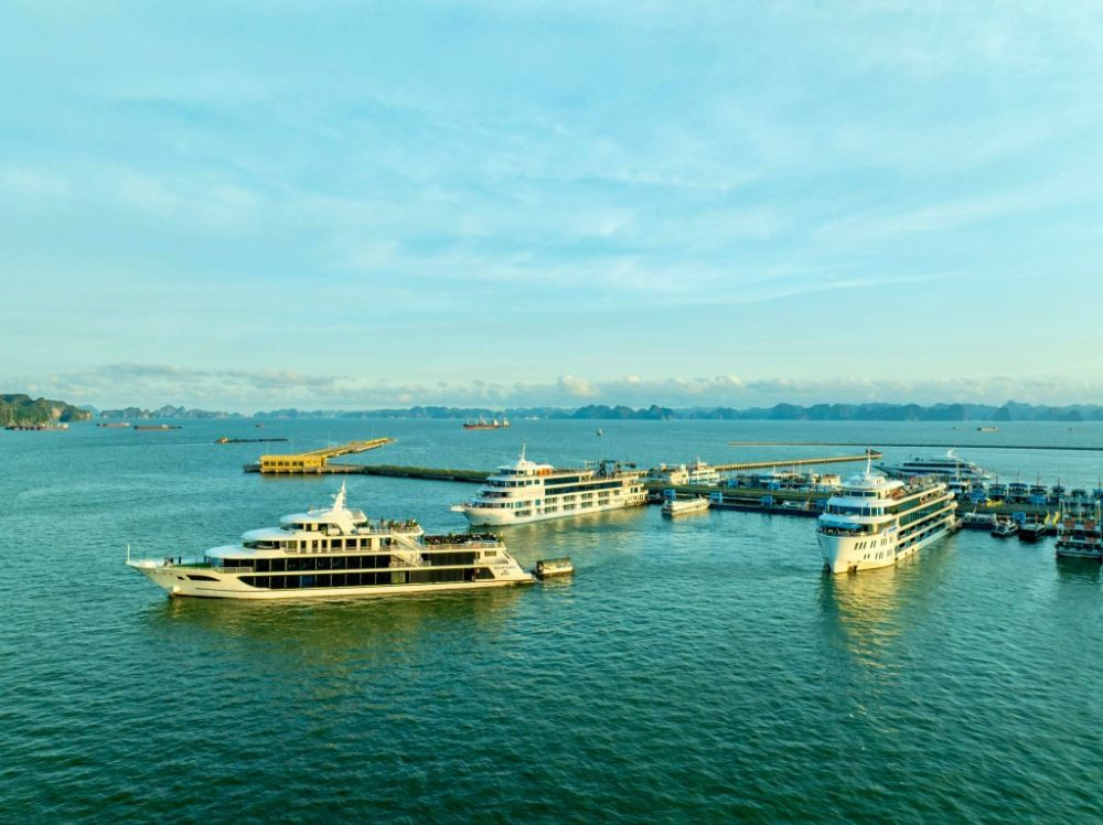 DTTravel Ha Long